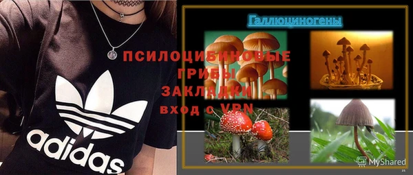 кокс Вяземский