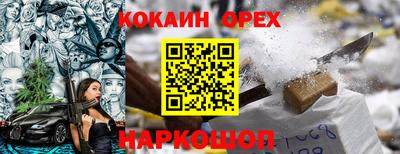 гашик Бийск