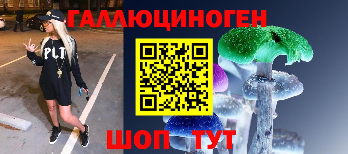 купить наркотики сайты  Горячий Ключ  Галлюциногенные грибы прущие грибы  Галлюциногенные грибы Cubensis 